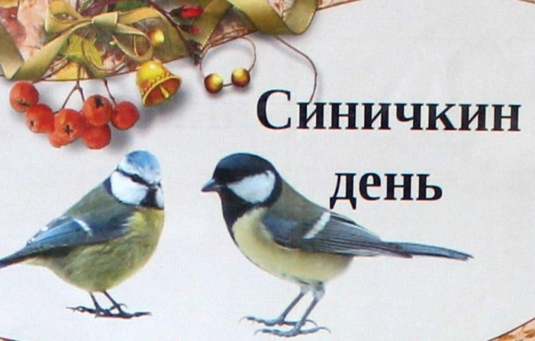 Информационная беседа «Синичкин день».