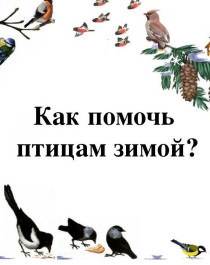 Интерактивная игра по окружающему миру для 1 класса по теме «Как зимой помочь птицам?».